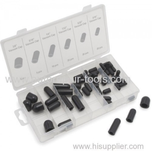 80 PC Vacuum Cap Assortment