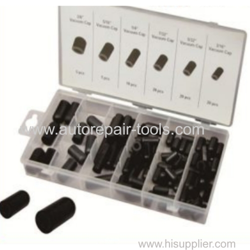 80 PC Vacuum Cap Assortment